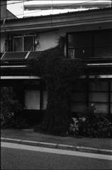 入口もじゃ