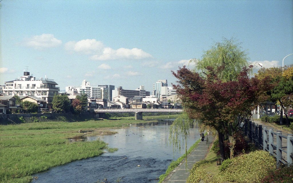 鴨川沿いを歩く　１