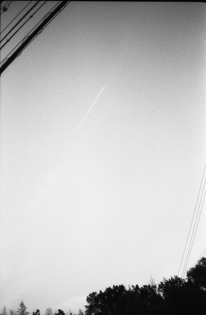 飛行機