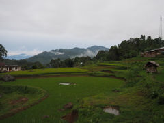 Sawah dan gunung berbatu