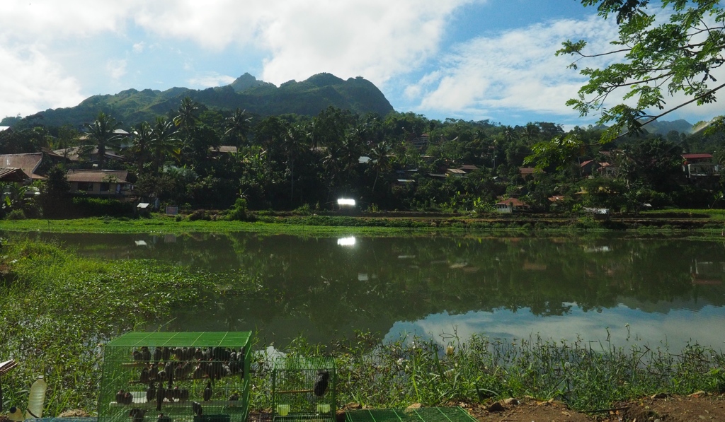 スラウェシ島の高い岩山