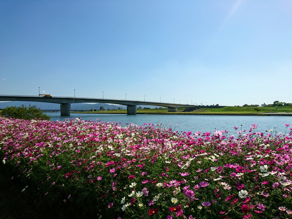 爽やか河川敷