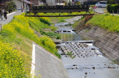 久留米市の高良川