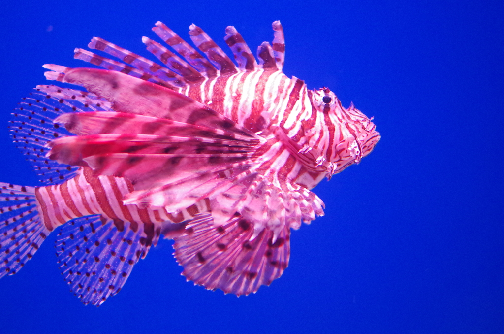 水族館