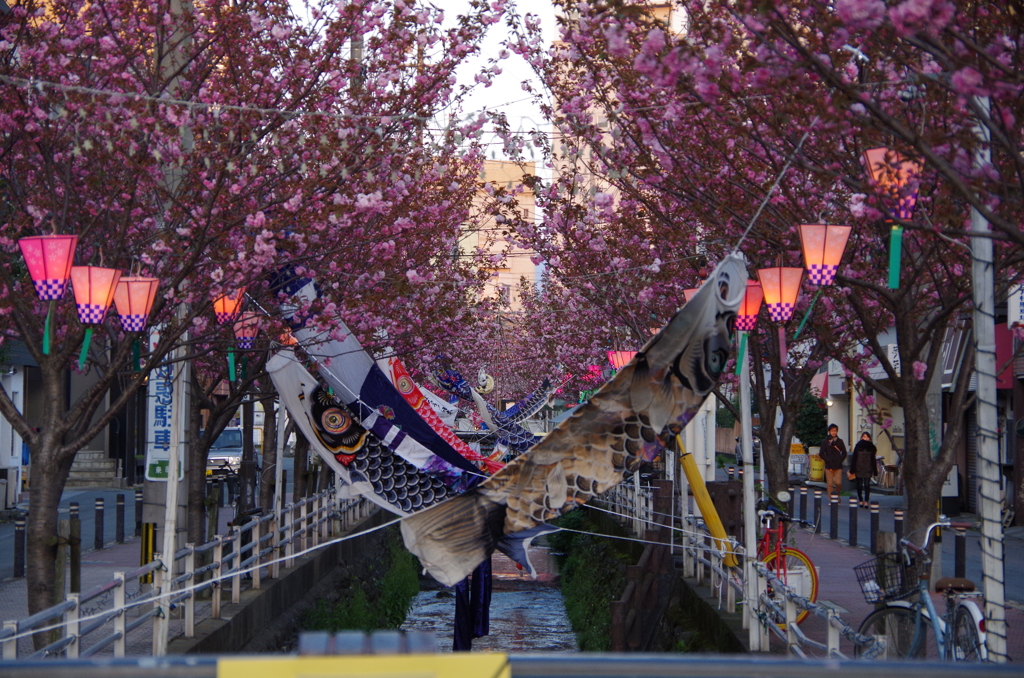 久留米市池町川