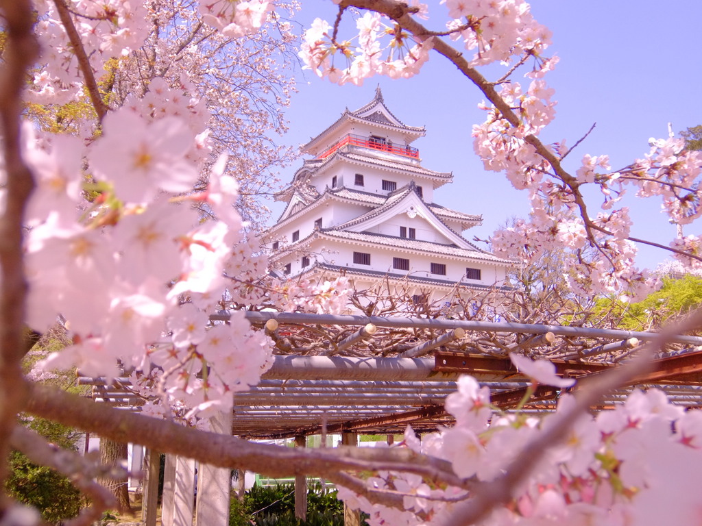 桜のお城