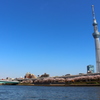 スカイツリー
