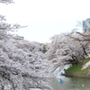 千鳥ヶ淵