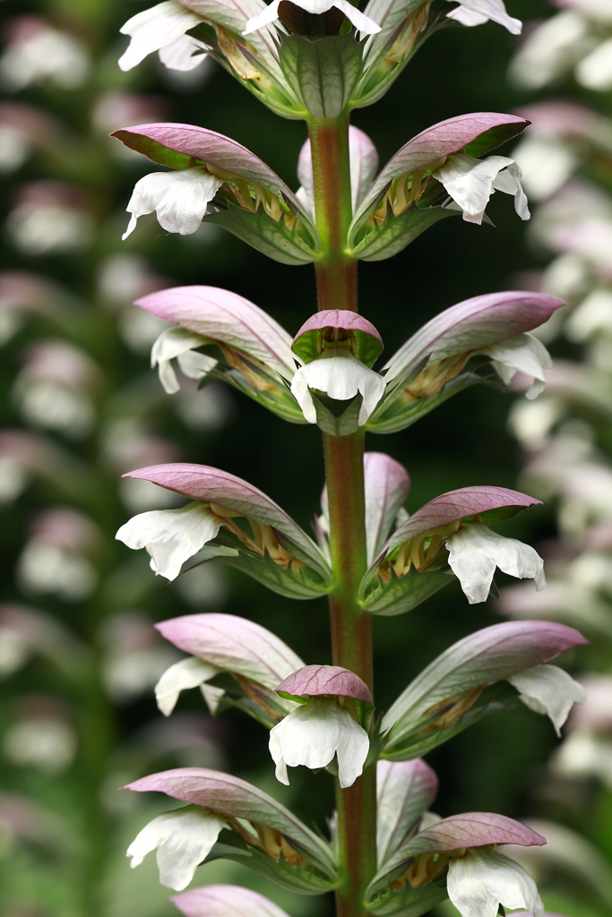 近未来型都市のインフラ