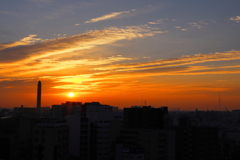 何処にいても　朝陽