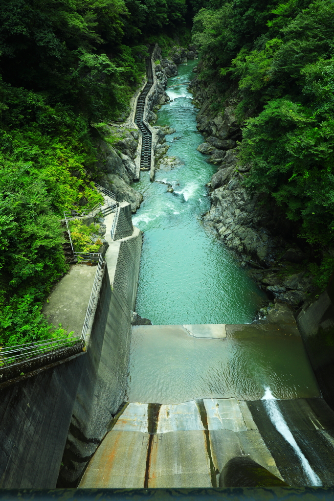 日本最大級の「魚道」のあるダム