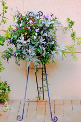 Ｅｎｔｒａｎｃｅ　ｄｉｓｐｌａｙ
