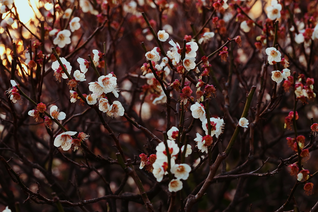 宴もそろそろ終宴