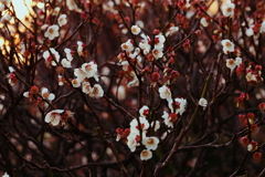 宴もそろそろ終宴