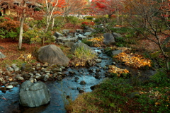 庭園風景　　流れ出し