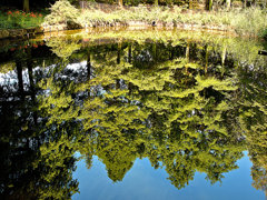 真夏日の復活した日
