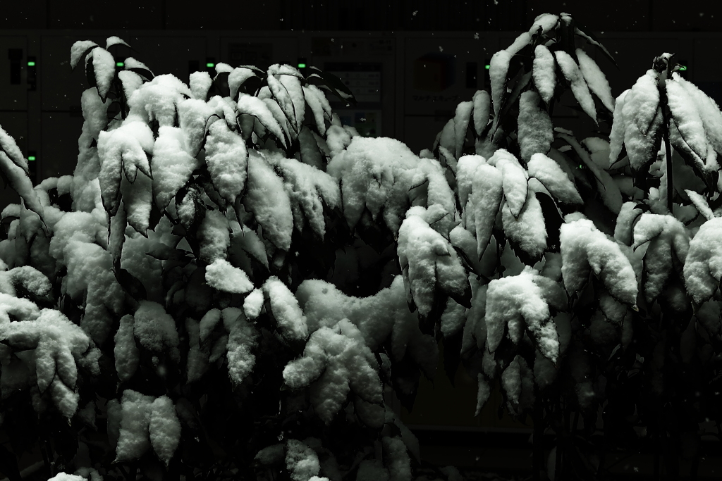 なぁ~んちゃって　Ｓｎｏｗ　Ｍｏｎｓｔｅｒ