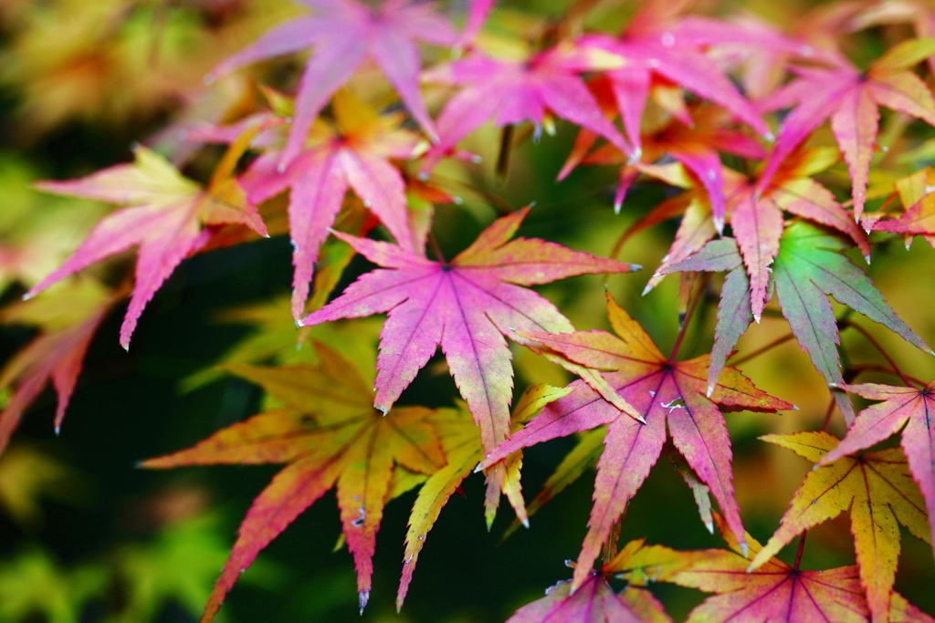 色が形作られてゆく