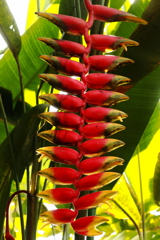 な・なんじゃ～こりゃ！！