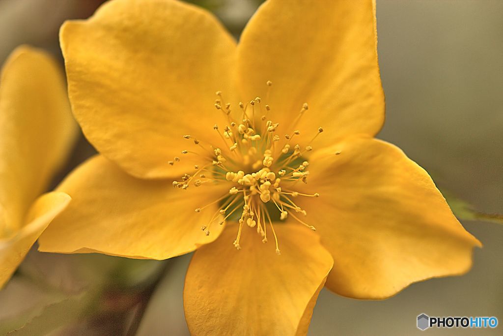 油断できない悩ましい君　其の２