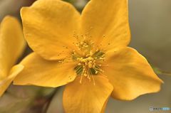 油断できない悩ましい君　其の２