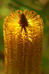 不思議が詰まっている