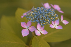 通じ合う気持ち