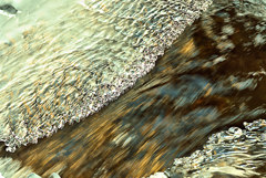 大自然の芸術的技法　氷の造形　１