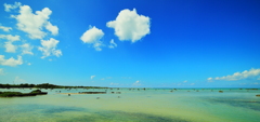 浮浪雲（はぐれぐも）　が　往く