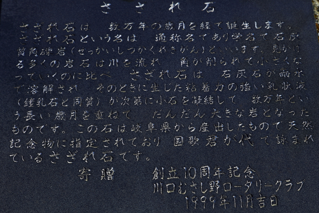「さざれ石」　解説文