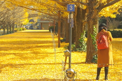 そしてお洒落なカメラ女子