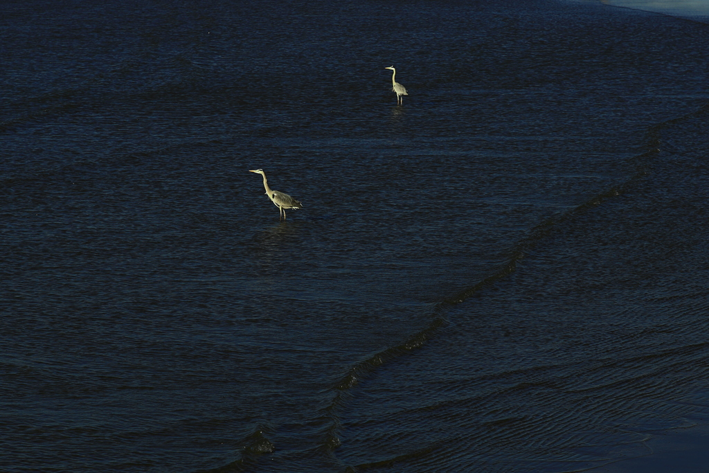 彼方（かなた）へ