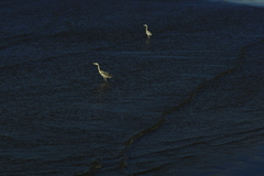 彼方（かなた）へ