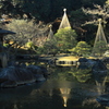 心字池に薄氷張る