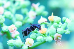 驚異