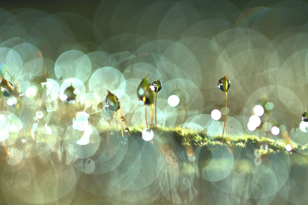 光りあやなす　２