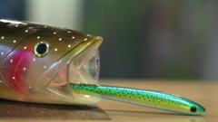 絶体絶命