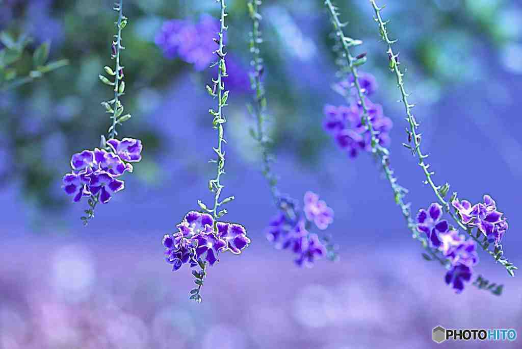 髪飾り　揺れる