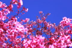 天高く・・・・