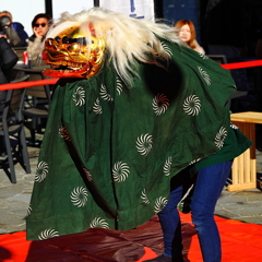 数十年ぶりの獅子舞