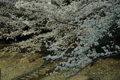 覆いつくす