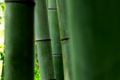 誰かに見られている？