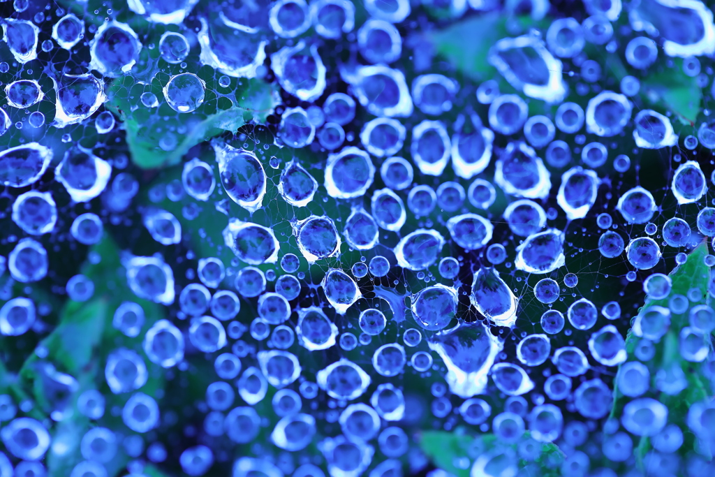 Blue　water　drop