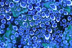 Blue　water　drop