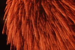 神明の花火　９