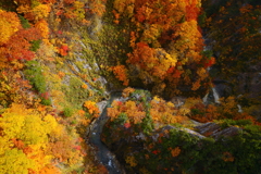 谷底まで１２２ｍ