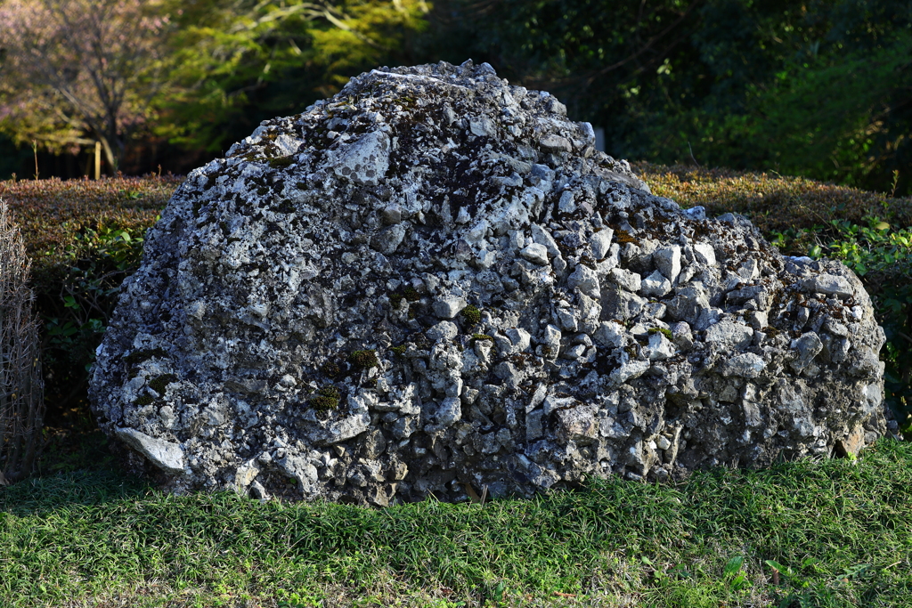 解説文とセットでどうぞ！