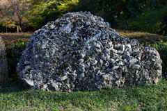 解説文とセットでどうぞ！