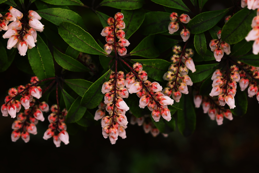 俯瞰して見えたもの