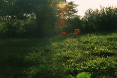 夏は余韻だけが残っていた